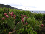 Praia de Taquaras.