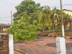 O TEMPORAL DE ONTEM DIA 04/02/11 OCASIONOU A QUEDA DE UMA ARVORE NA ALTURA DA RUA S�O GABRIEL N� 118 OCASIONANDO O BLOQUEIO DA RUA, FALTA DE ENERGIA E TELEFONE