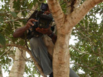 O cinegrafista Demtrio Getlio subiu na rvore para fazer uma melhor imagem