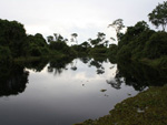 Toda a capacidade de refletir a natureza das guas do Pantanal