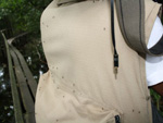 No Pantanal, a equipe encontrou um grande problema: os mosquitos