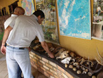 Exposio de esqueletos em Pousada do Pantanal. Animais mortos de causas naturais