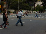 Blumenauenses se arriscam fora da faixa enquanto nibus respeitam velocidade