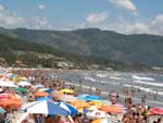 Marcus Israel: "Garopaba � a praia mais ga�cha de Santa Catarina".