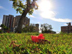 Cu azul na chegada do outono no litoral