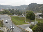 Julho de 2008 - rvore faz 10 anos de transplantada 