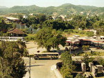 24 de abril de 1997 - rvore ainda est plantada prximo a um posto de combustveis, onde atualmente  a cabeceira da Ponte Vilson Kleinbing