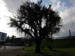 23 de maro de 2011