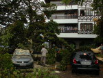 rvore cai sobre carros no estacionamento da Prefeitura de Blumenau