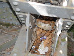 Detalhes da Ponte de ferro
