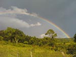 Arcoris depois da chuva, a natureza  de uma perfeio e de um encanto emocionante - Encruzilhada do Sul