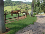 O Haras Flor do Campo est localizado na cidade de Cabreva (SP)