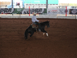 Prova de Work Cow Horse no primeiro dia do   Congresso
