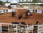 Prova Ranch Sorting no primeiro dia do Congresso