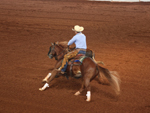 Prova de Work Cow Horse no primeiro dia do   Congresso