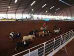 Disputa de Team Penning no segundo dia de provas