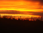 Fotos do ultimo por do sol de 2010.Tardezinha do dia 31/12 no seival- Caapava do Sul