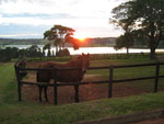 Belezas naturais do Haras chamam a ateno 