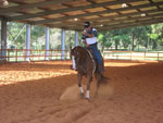 O Haras  especialista em preparar campees na modalidade de rdeas