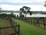 Haras Sacramento  referncia em criao de quarto de milha