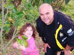 Bom dia, olha a laranja que deu no sitio do meu pai ademir elias essa da foto  minha filha bianca elis becker netinha dele .... o sitio fica na cidade de iara santa catarina 