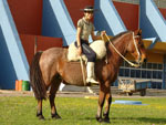 Eu na frente do Ginsio Presidente Mdici (Milito)em Bag com o meu cavalo Rosilho dando uma campereada. 