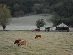 Campo que margeia a BR-287 em Santa Maria