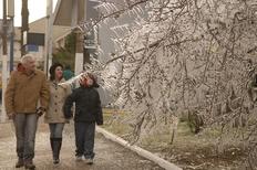 Termômetros marcaram -4,7ºC em São Joaquim (foto) nesta manhã - Vani Boza / Vani Boza