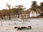 Essa foto foi tirada de manha cedo , aqui ta muito frio fazendo -9 de madrugada , tenho fotos pra comprovar e logo de manha foi tirada essa foto na Pracinha , lagoa dos patos em Alegrete