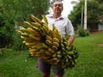 Meu pai, Jorge Eli Fetzner, com o maior caho de bananas j colhido na propriedade