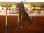 Seis Balizas  um dos destaques do Campeonato