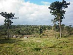 Boa tarde! Gostaria de passar para vocs a situao do Parque Florestal de Nonoai.