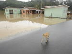 Alagamento no Bairro Trombudo, em Rio do Sul