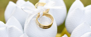 (Divulga��o, Wedding Shop)