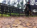 A cerimnia de abertura da final do Freio de Ouro 2011 comeou com chuva.  As provas aconteceram no Parque de Exposies Assis Brasil, em Esteio (RS), durante a Expointer   