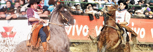 (Montagem de Cristiano Martins/Fotos de Em�lio Pedroso (Zero Hora) e Felipe Ulbrich (Divulga��o))