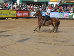 O ginete Marcelo Mglia e a fmea Fantasia Cala Bassa durante a prova Bayar Sarmento. A dupla se classicou em segundo lugar 
