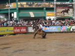 O ginete Maurcio Niquel,terceiro lugar entre os machos com o cavalo RZ Revuelto Cristal da Carapua, durante a prova Bayar Sarmento  