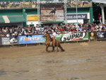 O ginete Maurcio Niquel,segundo lugar entre os machos com o cavalo JCL Descuido, durante a prova Bayar