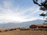 Maras
