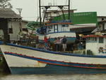 Navegantes