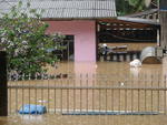 Enchente na Rua Pastor Oswaldo Hesse, em Blumenau