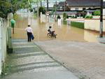 Blumenau
