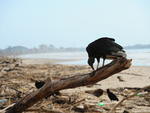 Praia de Navegantes