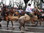 O desfile na Av. Bento Gon�alves, em Pelotas, foi acompanhado por milhares de pessoas.