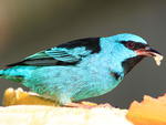 Fotos de Artur Carlos Vieira