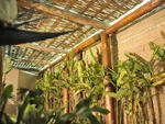 Jardim que integra edi��o 2011 da Mostra Casa&Cia