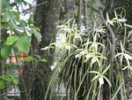 Jardim que integra edi��o 2011 da Mostra Casa&Cia