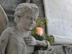 Cemitrio de Blumenau