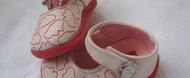 (Divulga��o/RBS TV)